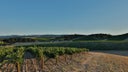 Paso Robles