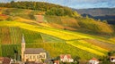 Pfalz