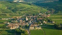 Pommard