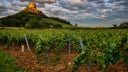 Pouilly-Fuisse
