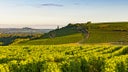 Pouilly-Fume