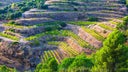 Priorat