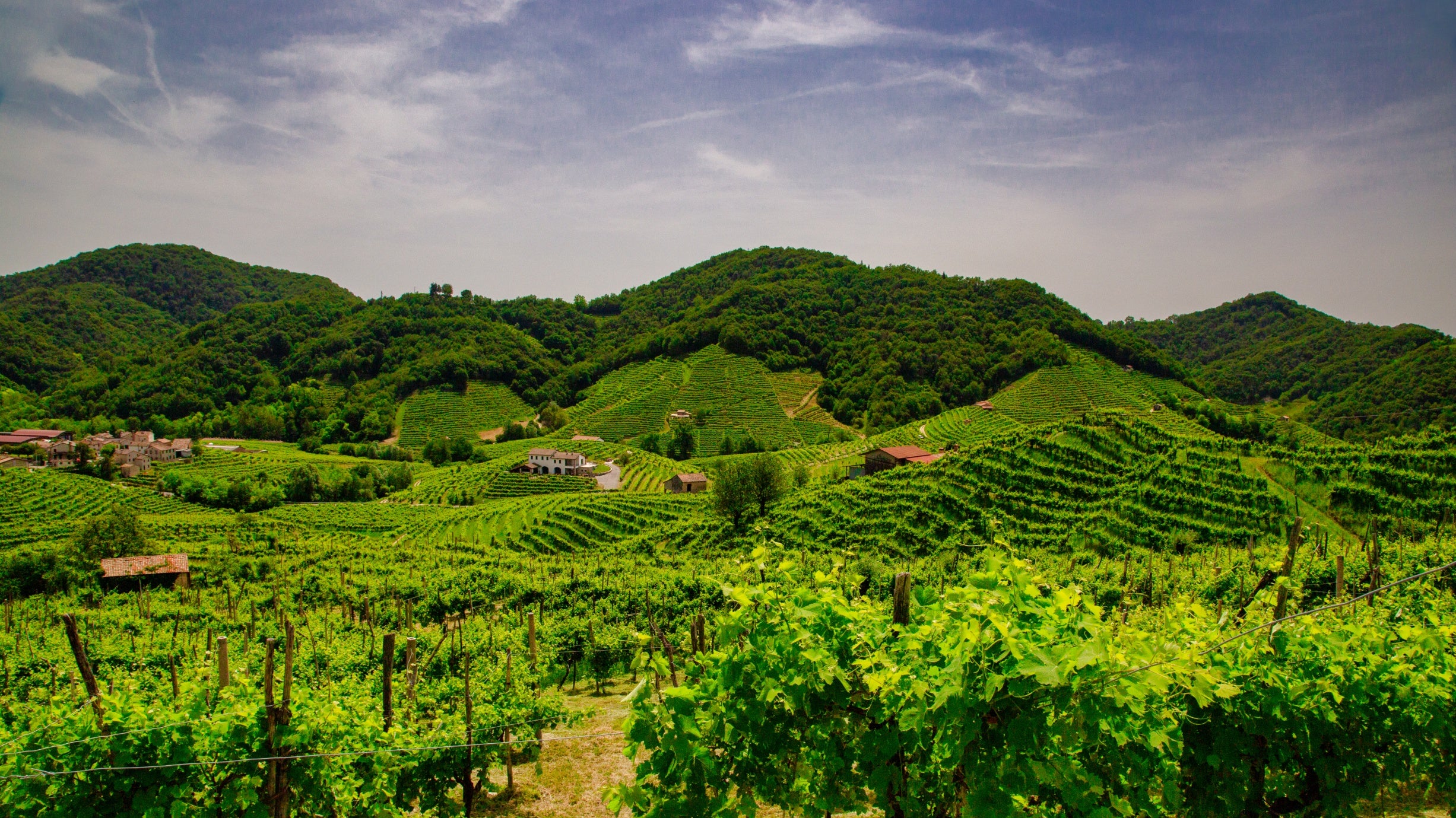 Prosecco - Italy&amp;#39;s Sparkling Wine Region