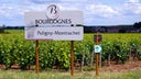 Puligny-Montrachet