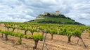Ribera del Duero
