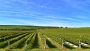 Rio Grande do Sul