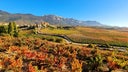 Rioja Alavesa