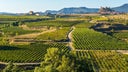 Rioja Alta