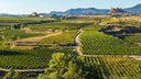 Rioja Alta