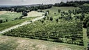 Romagna