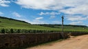 Romanee-Conti
