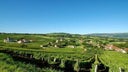 Roussette de Savoie
