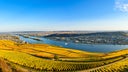 Rudesheim