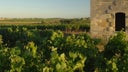 Saint-Estephe