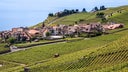 Saint-Saphorin