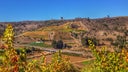 San Antonio Valley - Chile