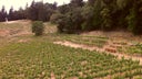 Santa Cruz Mountains