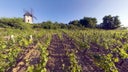 Santenay