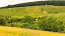 Siefersheim