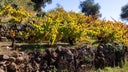 Sierra de Salamanca VC