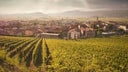 Soave