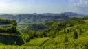 Soave Classico