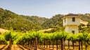 Sonoma County