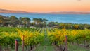 South Australia