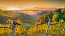 Sudsteiermark