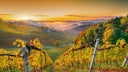 Sudsteiermark