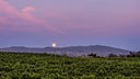 Temecula Valley