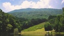 Tennessee