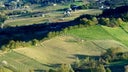 Trebbiano d'Abruzzo