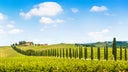 Tuscany