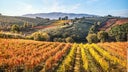 Umbria IGT