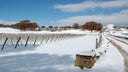 Valle d'Itria IGT
