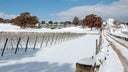 Valle d'Itria IGT