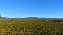 Valle de Guadalupe