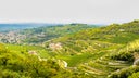 Valpolicella