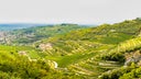 Valpolicella Classico