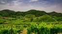 Veneto