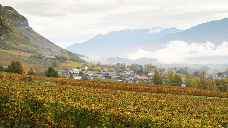 Vin de Savoie, Savoie - France Wine Region | Wine-Searcher