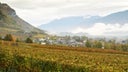 Vin de Savoie