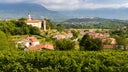 Vipava