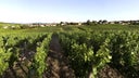 Vire-Clesse