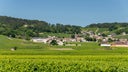 Volnay Taille Pieds