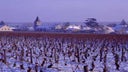 Vosne-Romanee Premier Cru