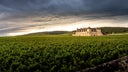 Vougeot Les Petits Vougeots