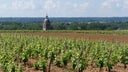 Vouvray