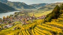 Wachau